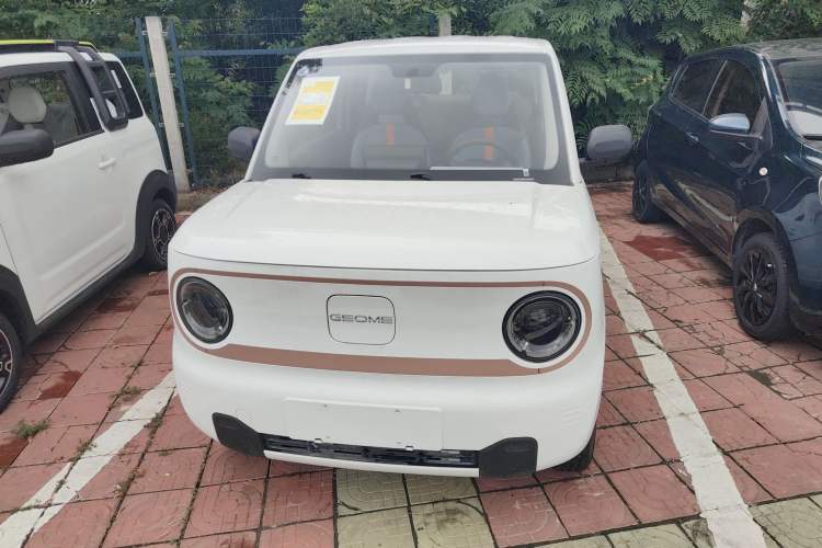 Used  Panda 2024 Panda Mini 200km Endurance Bear
