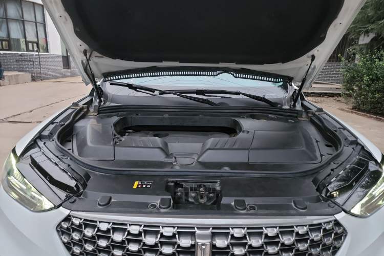 Used Wey VV6 2021 2.0T Two-Wheel Drive Smart Protection+
