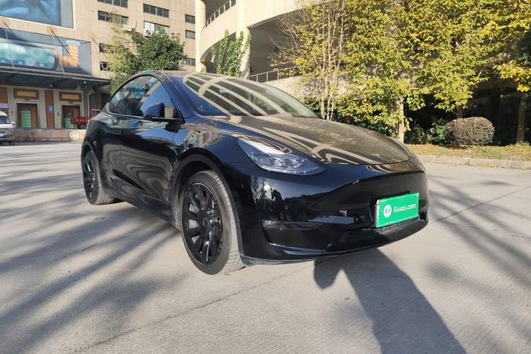 Used Tesla Model Y 2021 Standard Range Rear-Wheel Drive Version
