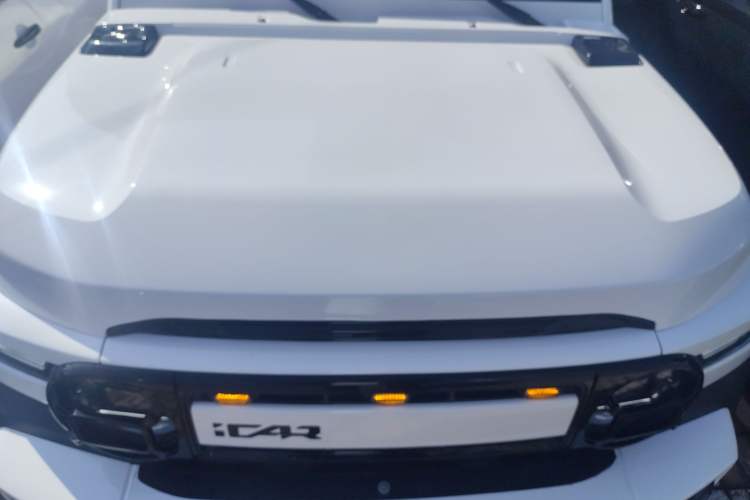 Used  V23 2025 501 Four-Wheel Drive Intelligent Driving Version
