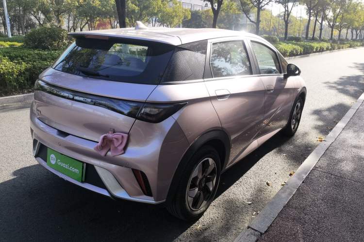 Used BYD Dolphin 2024 Honor Edition 420km Freedom Version
