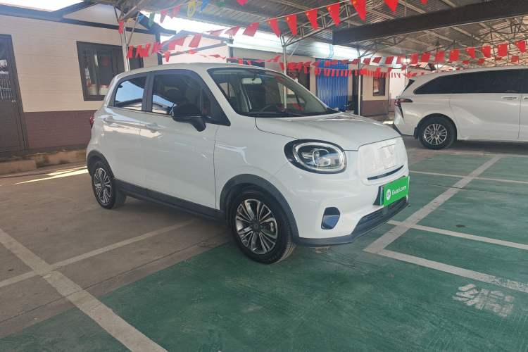 Used Leapmotor T03 2021 400 Lite Edition Lithium Iron Phosphate
