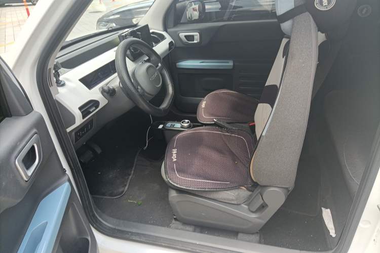 Used  Panda 2023 Panda Mini 200km Endurance Bear
