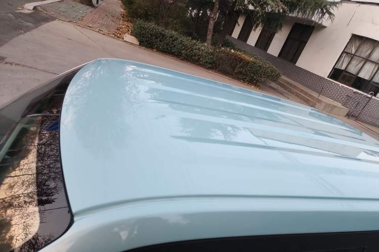 Used  Panda 2024 Panda Mini 200km Endurance Bear