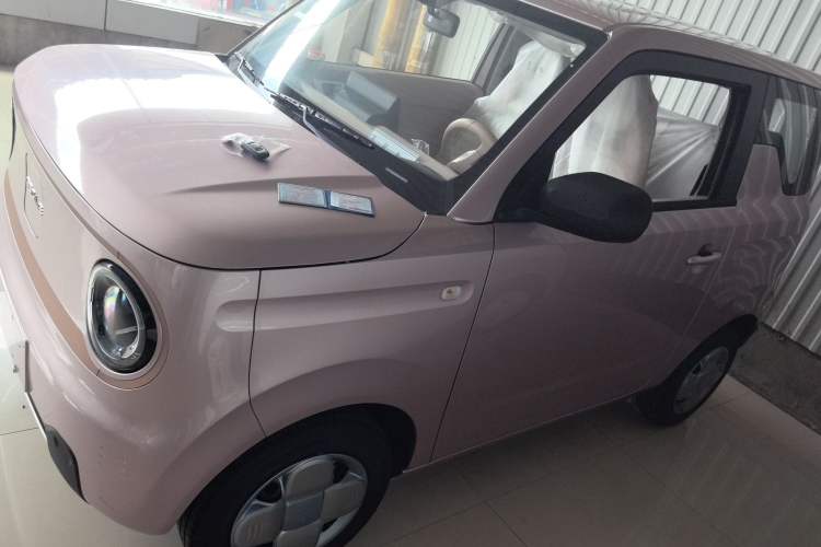 Used  Panda 2024 Panda Mini 200km Endurance Bear

