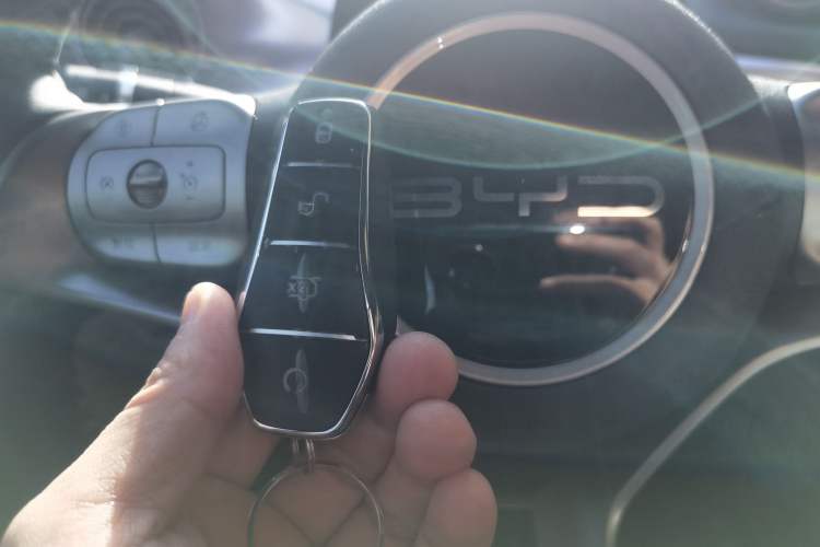 Used BYD Dolphin 2024 Honor Edition 420km Freedom Version
