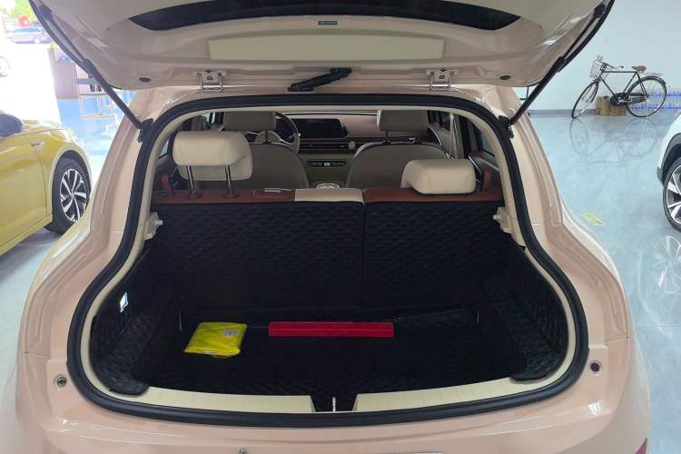 Used ORA Good Cat 2023 401 km Standard Range Luxury Version Lithium Iron Phosphate
