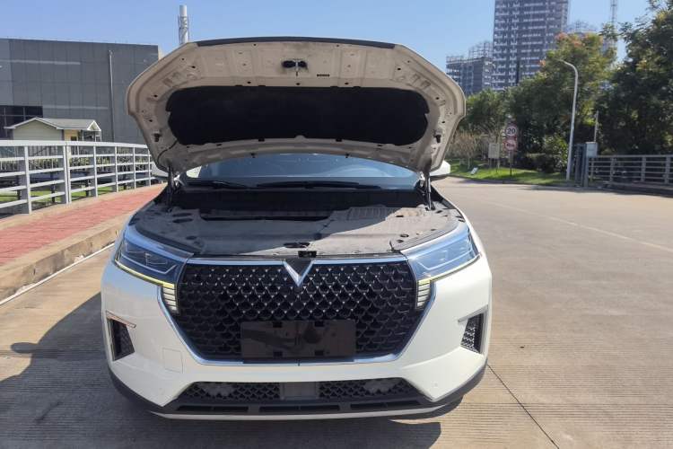 Used Venucia Star 2020 260T Automatic 48V Mild Hybrid Turbocharged Star Edition
