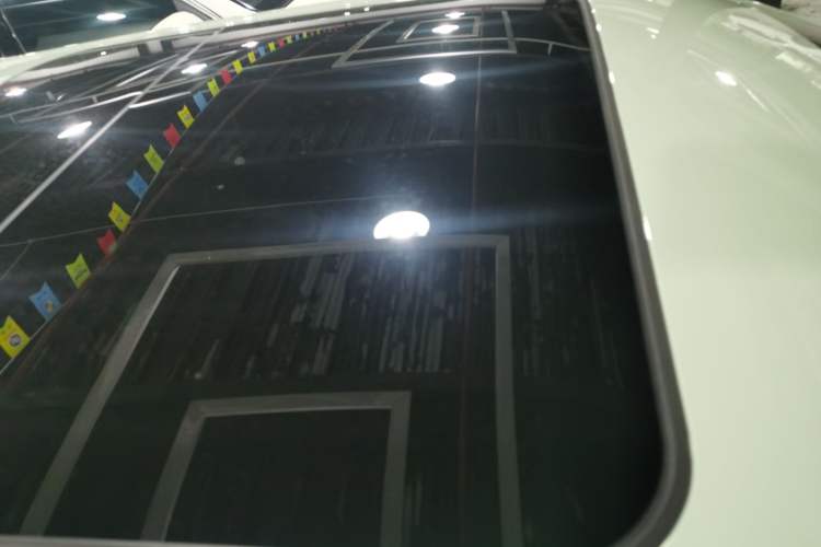 Used ORA Good Cat 2022 Morandi Edition 400km Standard Range Premium Version Lithium-Ion Battery
