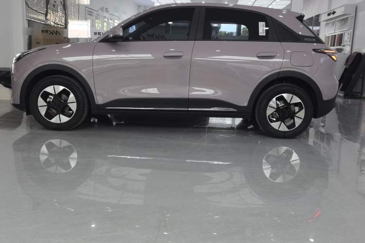 Used  Geome 2025 310km Dream Edition
