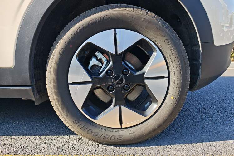 Used  Geome 2025 310km Dream Edition
