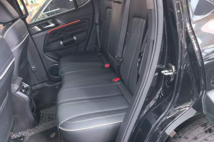 Used Tank 300 2024 2.0T Conqueror
