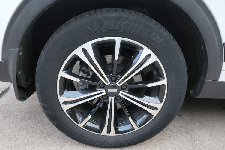 Used Wey VV6 2021 2.0T Two-Wheel Drive Smart Protection+
