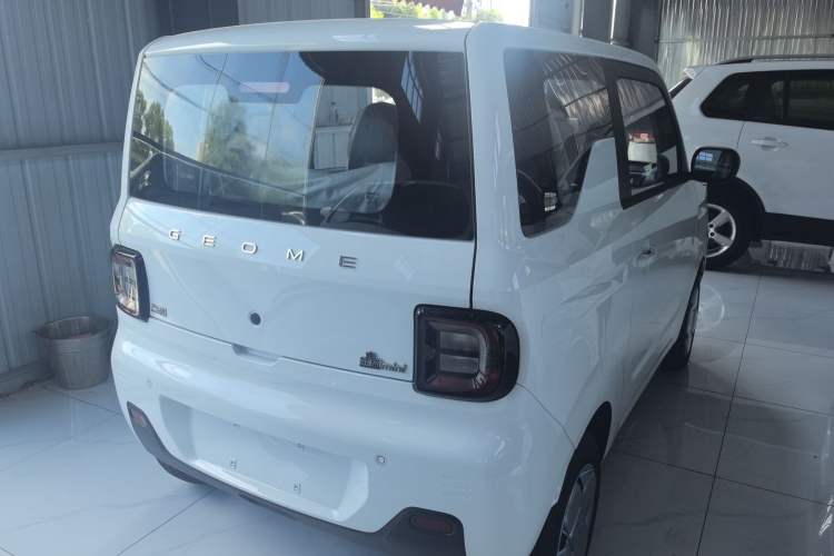 Used  Panda 2024 Panda Mini 200km Endurance Bear
