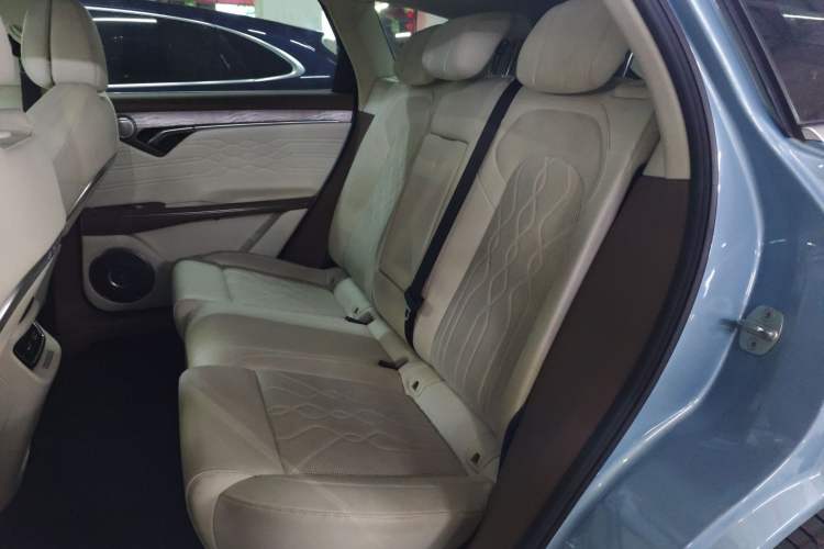 Used VOYAH FREE 2021 Four-Wheel Drive Standard Range-Extended Exclusive Luxury Package
