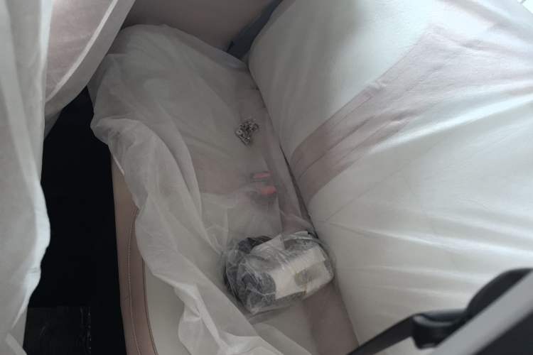 Used  Panda 2024 Panda Mini 200km Endurance Bear
