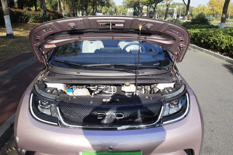 Used BYD Dolphin 2024 Honor Edition 420km Freedom Version
