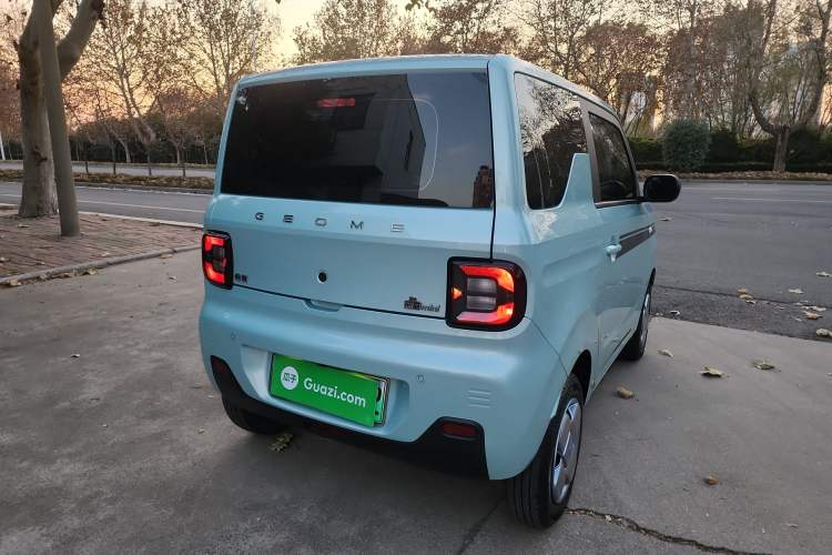 Used  Panda 2024 Panda Mini 200km Endurance Bear