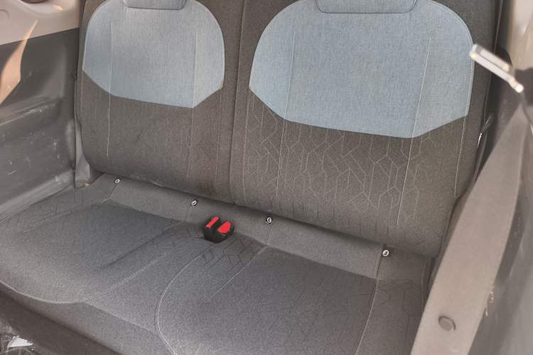 Used  Panda 2024 Panda Mini 200km Endurance Bear
