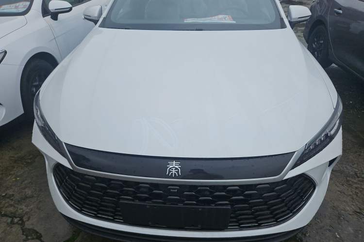 Used BYD Qin PLUS 2025 DM-i Smart Drive 55KM Leading Model
