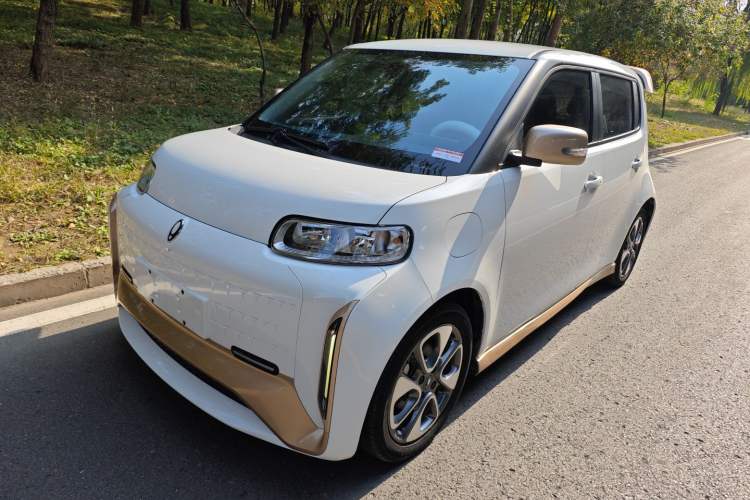 Used ORA White Cat 2022 Xiaoyue Mao Edition 360 km Luxury Model Lithium NMC
