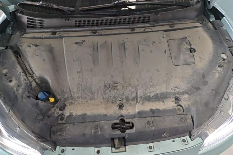 Used NETA V 2021 Long-Range Entertainment Edition Upgrade Model
