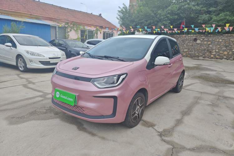 Used SOL E10X 2022 Flower Fairy Design Four-Leaf Clover
