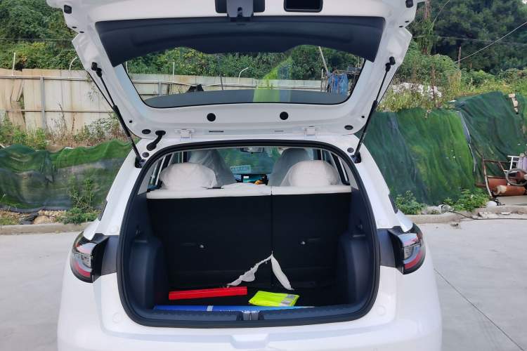 Used  Geome 2025 310km Youth Edition
