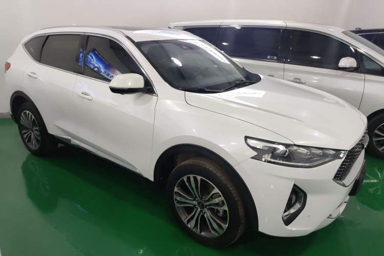 Used Haval F7 2019 2.0T Four-Wheel Drive iJoy China V Standard
