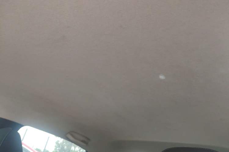 Used Chevrolet Cavalier 2022 325T Automatic Enjoyment Edition
