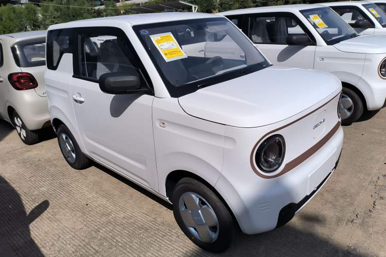 Used  Panda 2024 Panda Mini 200km Endurance Bear

