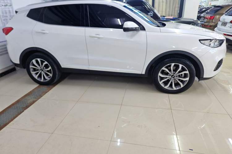 Used Wey VV6 2018 2.0T Two-Wheel-Drive Ultra-Luxury Version China V Standard
