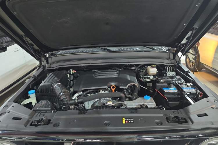 Used Tank 300 2021 Off-Road Edition 2.0T Conqueror
