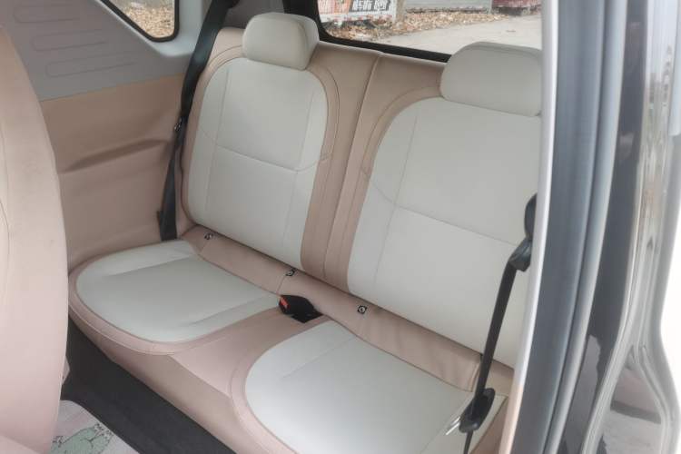 Used  Panda 2024 200km Panda Kart
