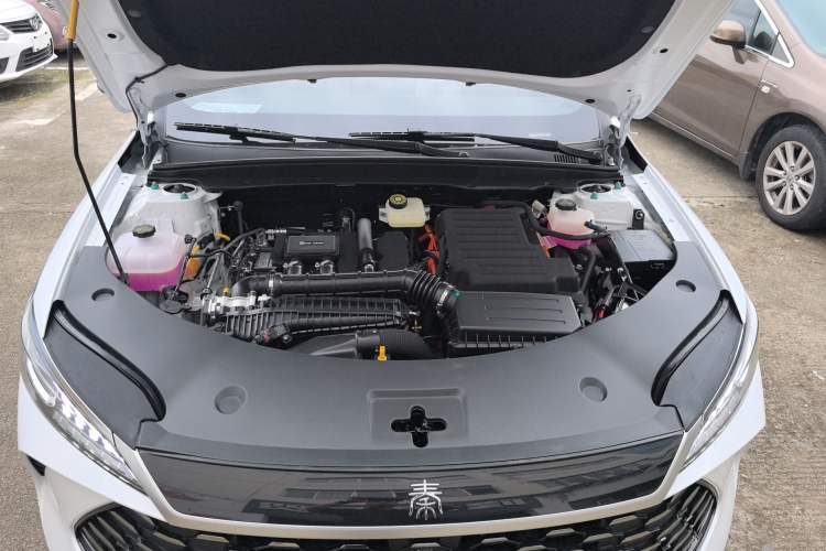 Used BYD Qin PLUS 2025 DM-i Smart Drive 55KM Leading Model
