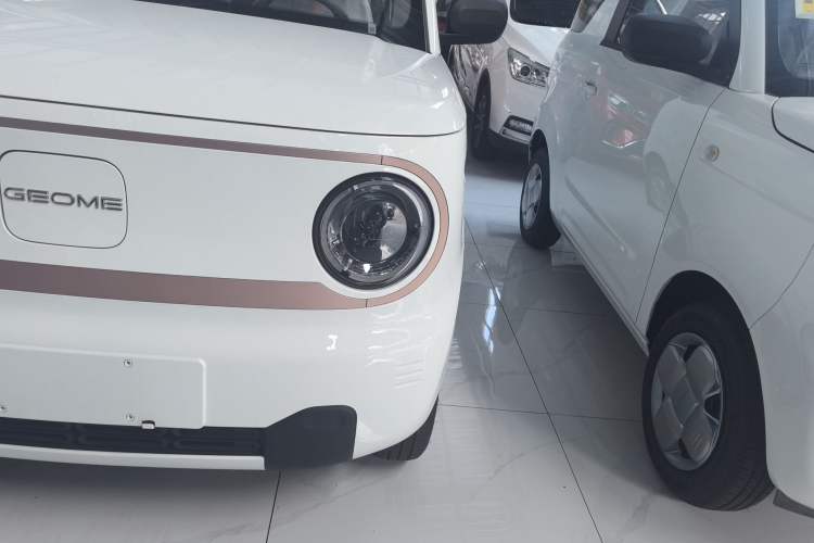 Used  Panda 2024 Panda Mini 200km Endurance Bear
