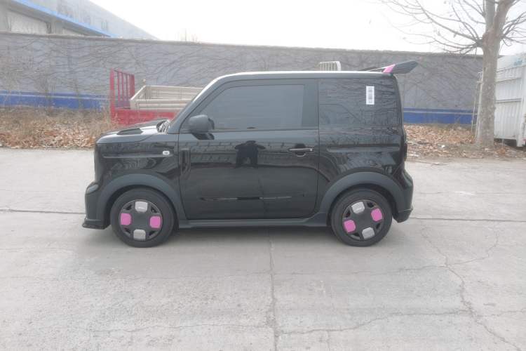 Used  Panda 2024 200km Panda Kart
