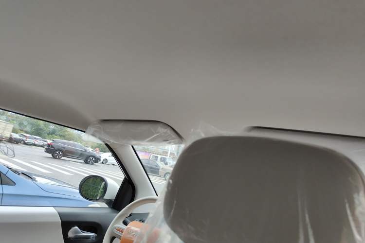 Used  Lumin 2025 301km Honey Dew Edition
