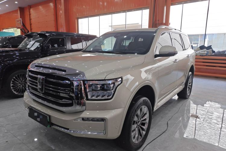 Used Tank 500 New Energy 2023 Hi4-T
