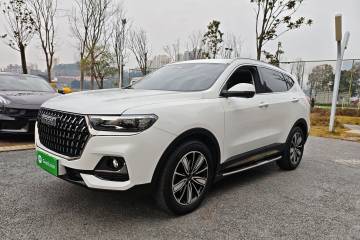 Used Haval H6 2023 National Trend Edition 1.5T Automatic Champion Version