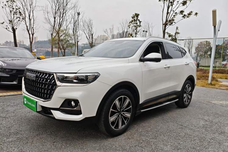 Used Haval H6 2023 National Trend Edition 1.5T Automatic Champion Version