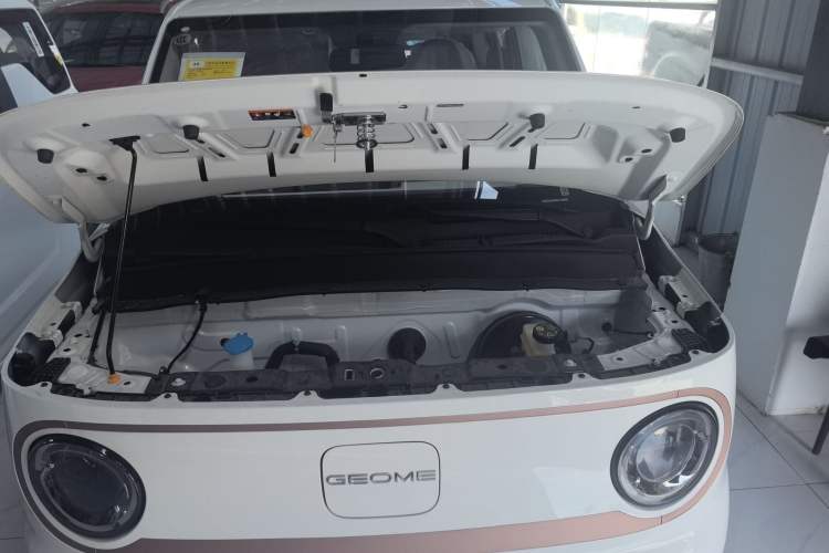 Used  Panda 2024 Panda Mini 200km Endurance Bear
