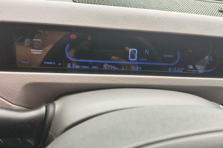 Used  Panda 2023 Panda Mini 200km Endurance Bear
