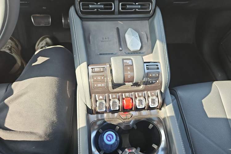 Used  Leopard 5 2025 TianShen Intelligent Driving Ultra Edition
