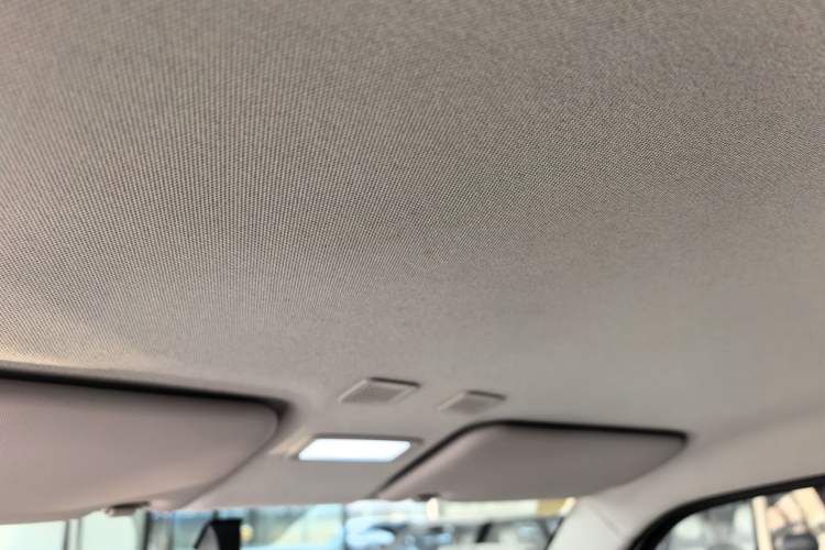 Used  Panda 2024 Panda Mini 200km Endurance Bear
