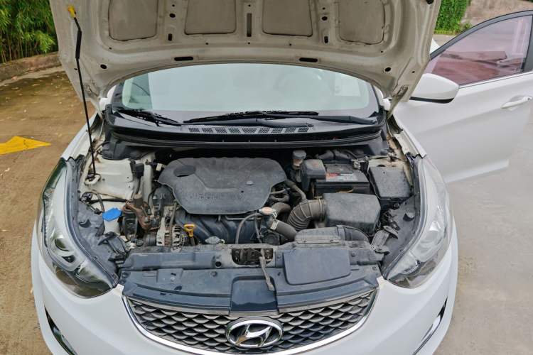 Used Hyundai Elantra 2016 1.6L Automatic Smart Version