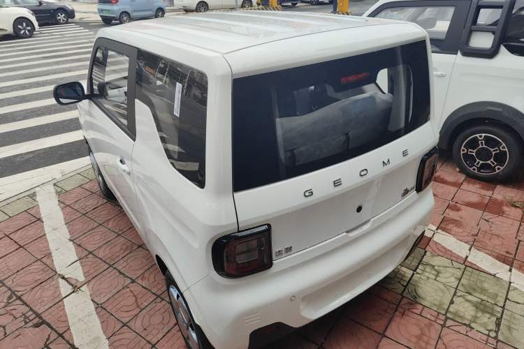 Used  Panda 2024 Panda Mini 200km Endurance Bear
