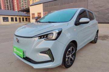 Used Oshan Benni E-Star 2022 Qingxin Edition Colorful Model Lithium Iron Phosphate