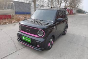 Used Geely Galaxy Panda 2024 200km Panda Kart