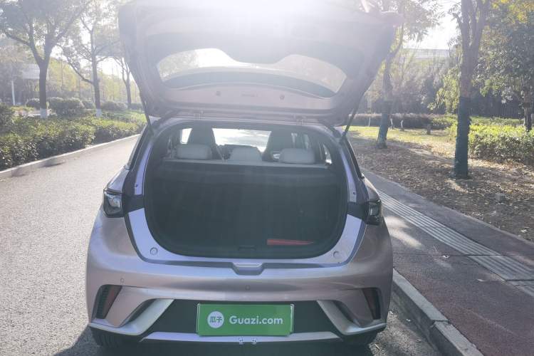 Used BYD Dolphin 2024 Honor Edition 420km Freedom Version
